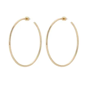 2.5" Ultimate Hoops