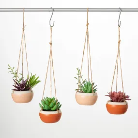 Hanging Succulents In Ceramic