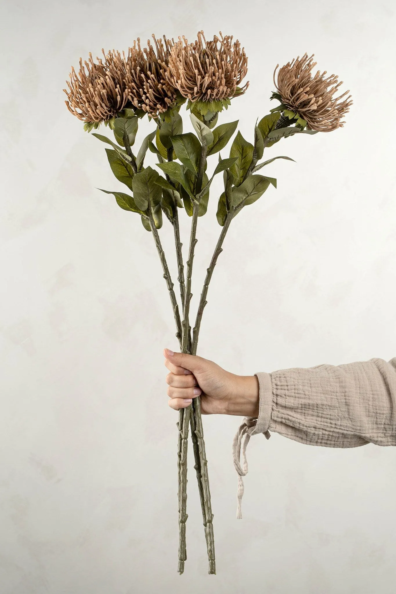 Pin Cushion Floral Stem